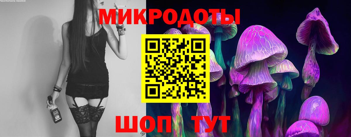 Галлюциногенные грибы MAGIC MUSHROOMS Волгоград